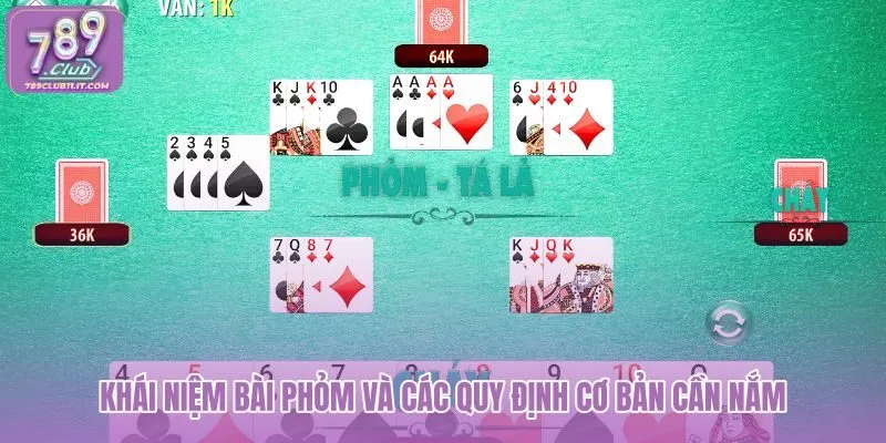 khai-niem-bai-phom-va-cac-quy-dinh-co-ban-can-nam khai-niem-bai-phom-va-cac-quy-dinh-co-ban-can-nam